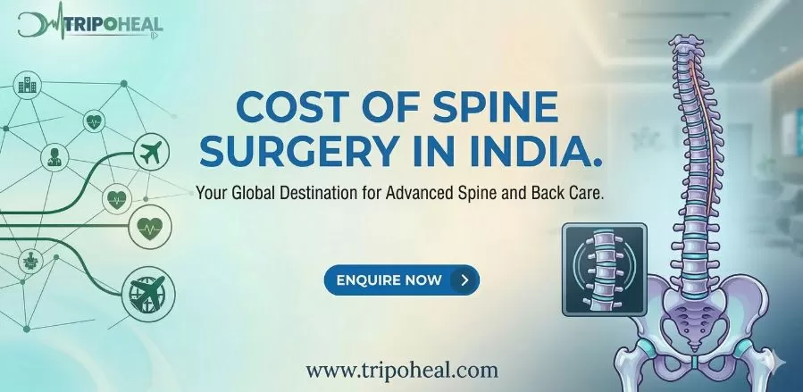 تكلفة جراحة العمود الفقري في الهن