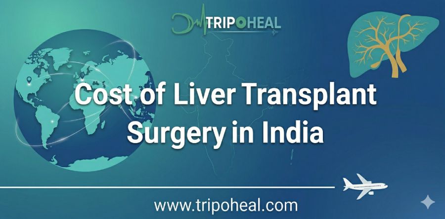 تكلفة زراعة الكبد في الهند