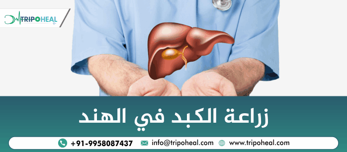 تكلفة زراعة الكبد في الهند